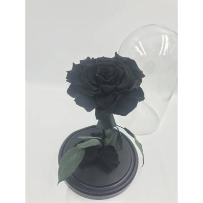 Черная роза в колбе